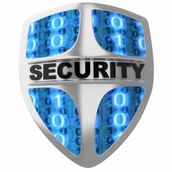 secure-it1-250x250